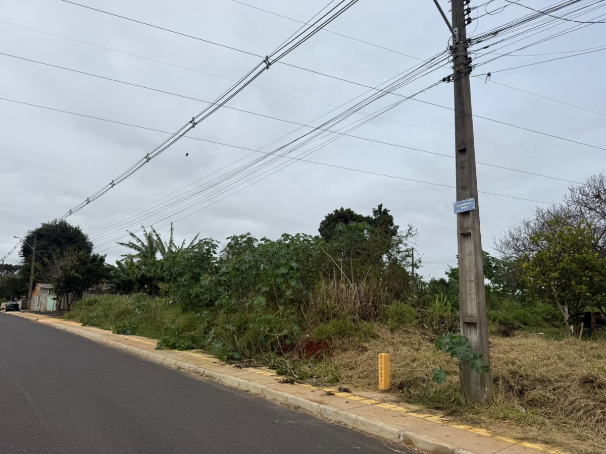 Imagem do imóvel IMÓVEL 1 MATRÍCULA 34.973:  IMÓVEL COM 530,60M² EM PONTA GROSSA - PR