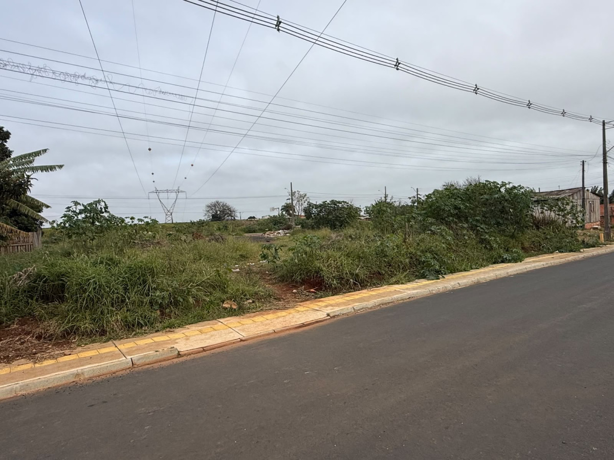 Terreno (foto 9 de 9)