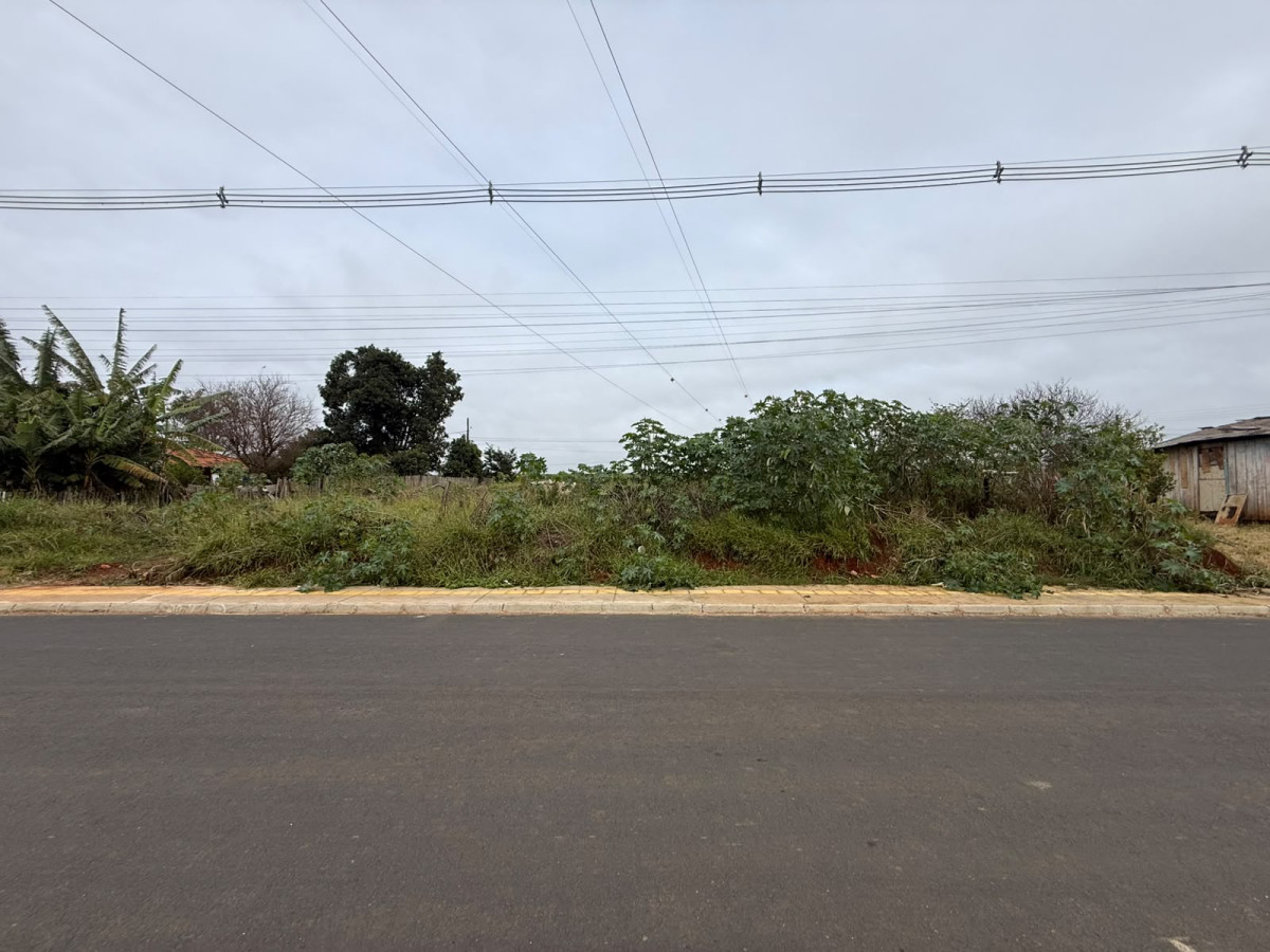 Terreno (foto 7 de 9)
