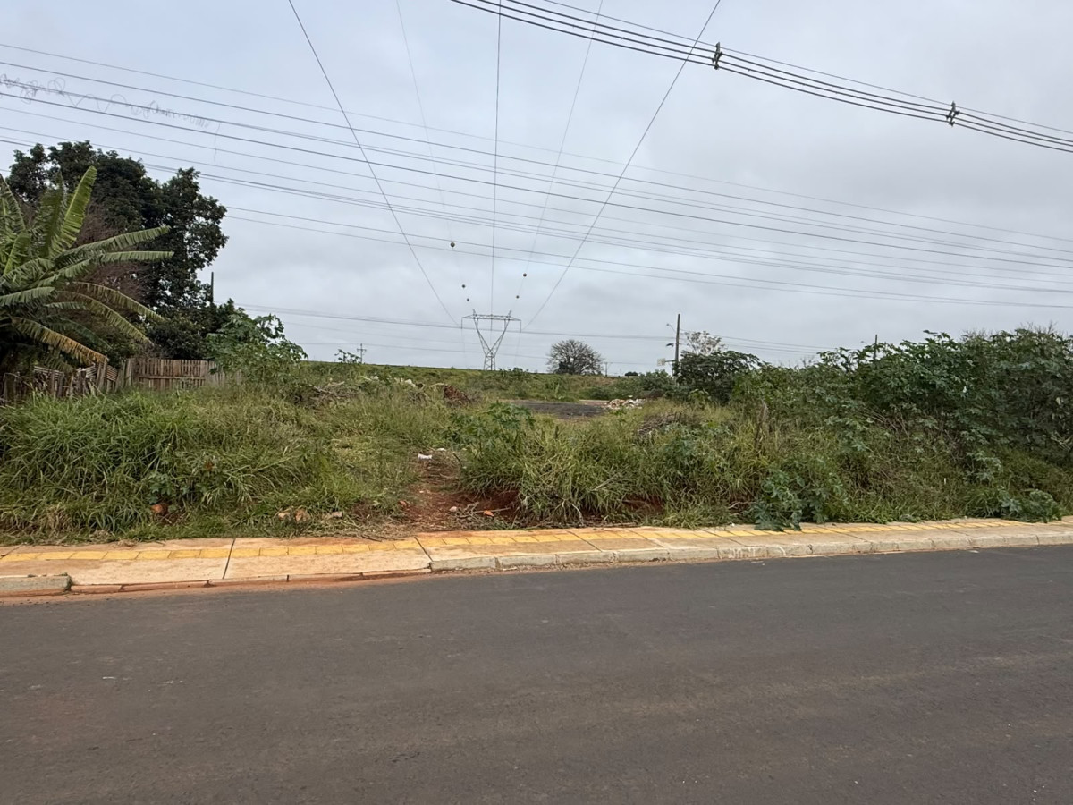 Terreno (foto 8 de 9)