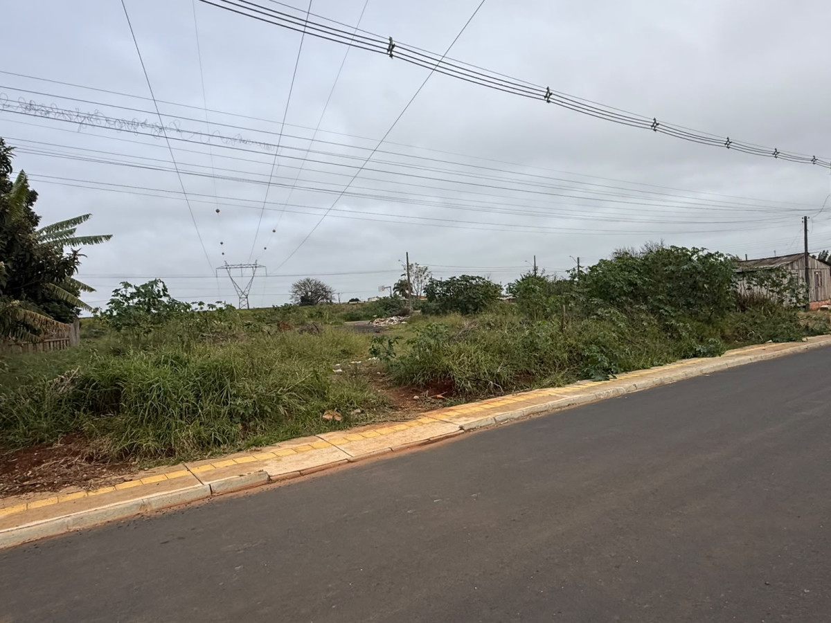 Terreno (foto 6 de 9)