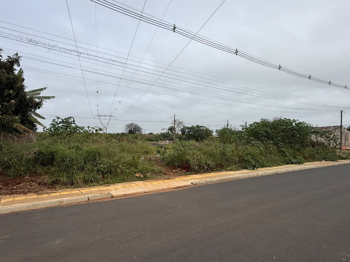 Terreno (foto 5 de 9)