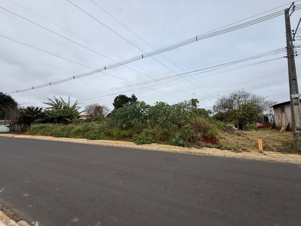 Terreno (foto 4 de 9)