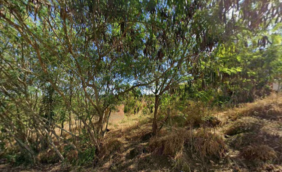 Terreno (foto 4 de 4)