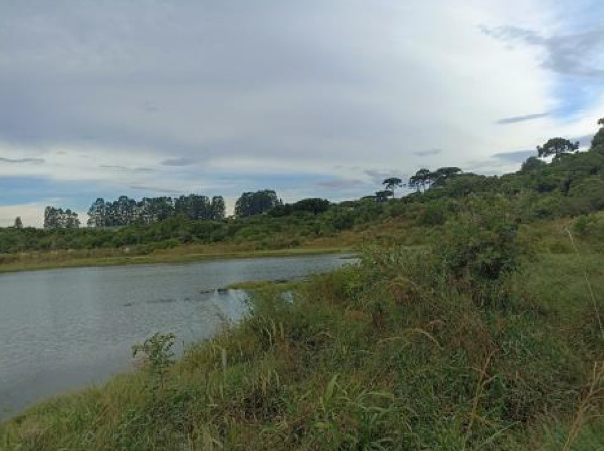 Gleba (foto 8 de 15)