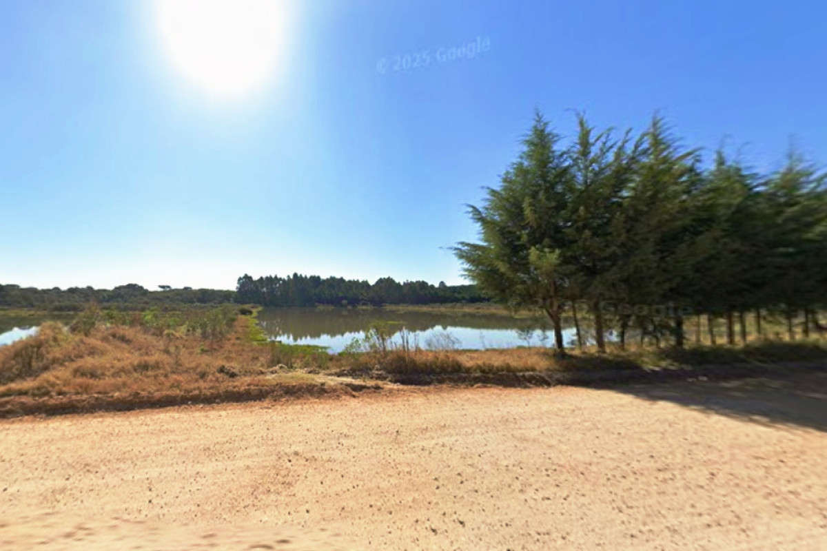 Imagem do imóvel Área rural em Balsa Nova/PR