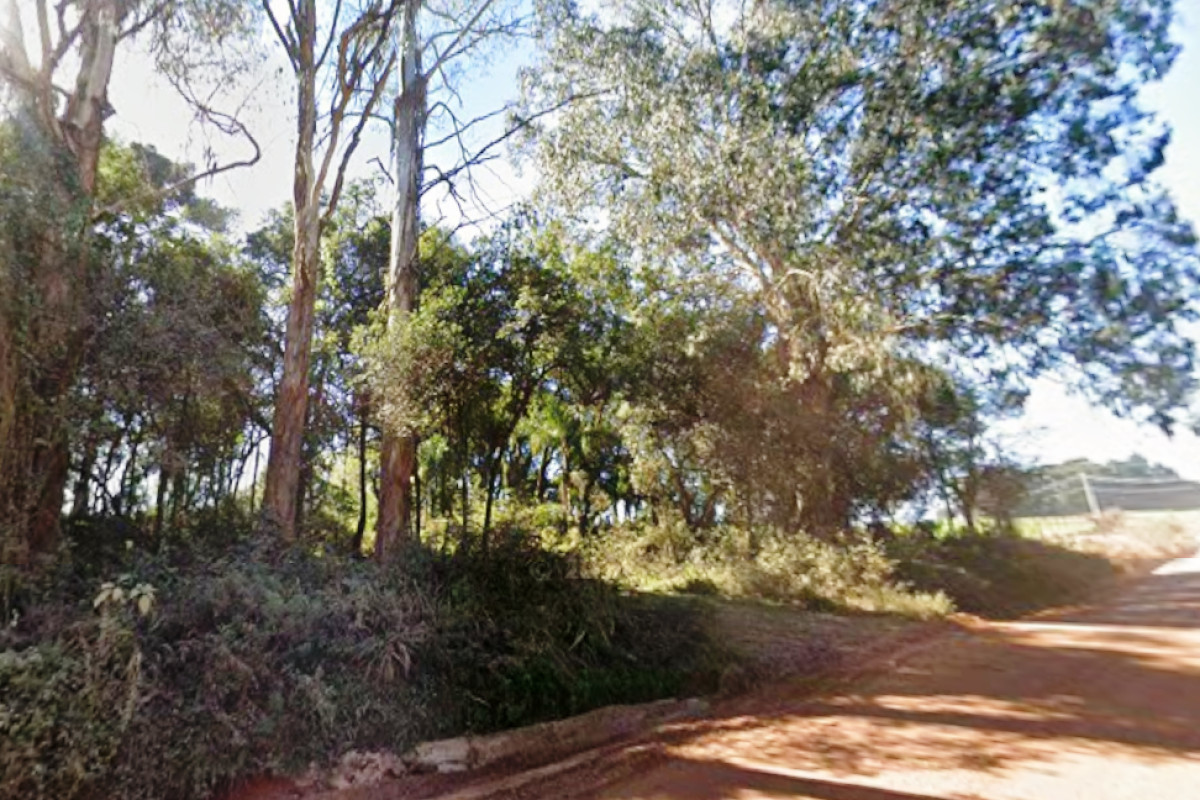 Gleba (foto 11 de 15)
