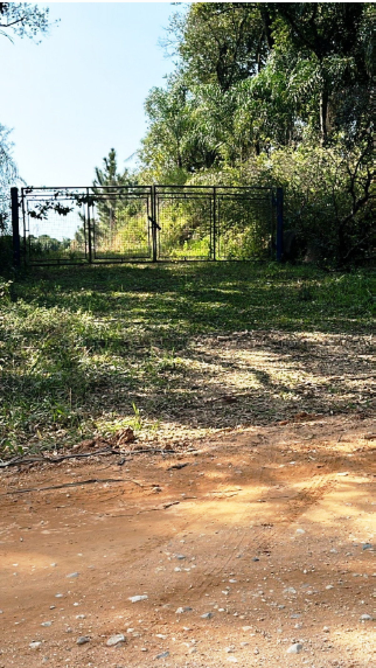 Gleba (foto 2 de 15)