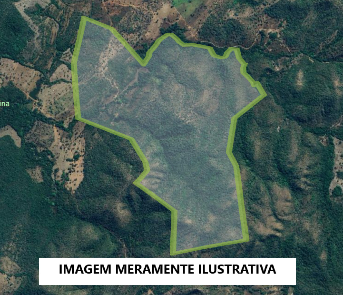 Imagem do imóvel IMÓVEL RURAL EM TROMBAS - GO