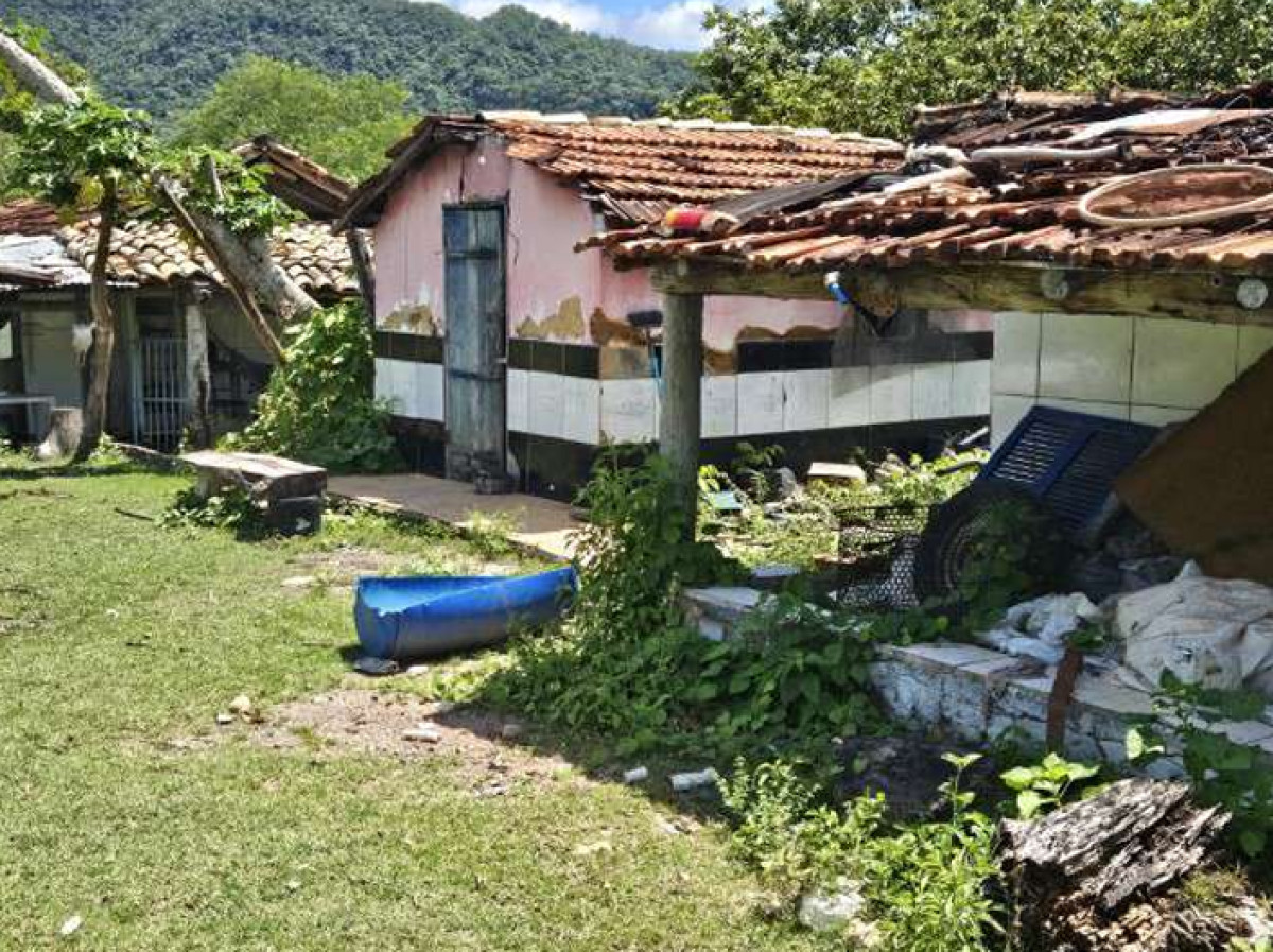 IMÓVEL RURAL EM GUARINOS/GO, localizado em Guarinos - GO