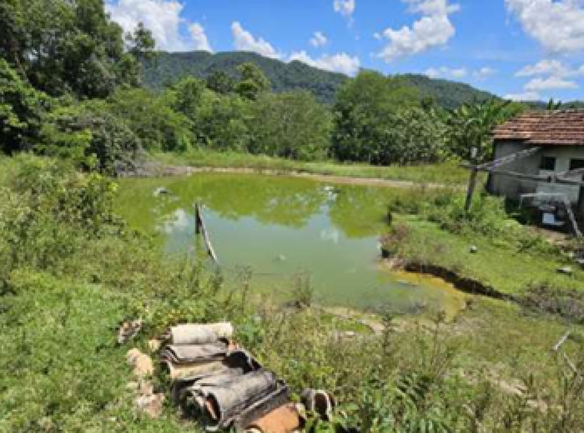 Imagem do imóvel IMÓVEL RURAL EM GUARINOS/GO