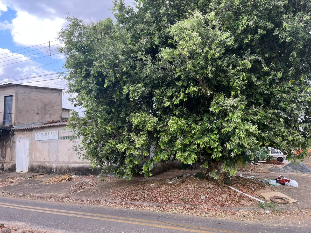 Casa (foto 3 de 4)