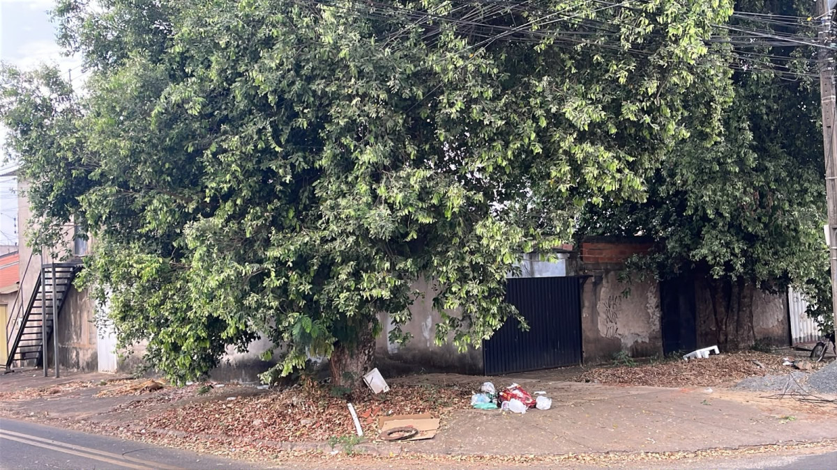 Casa (foto 4 de 4)