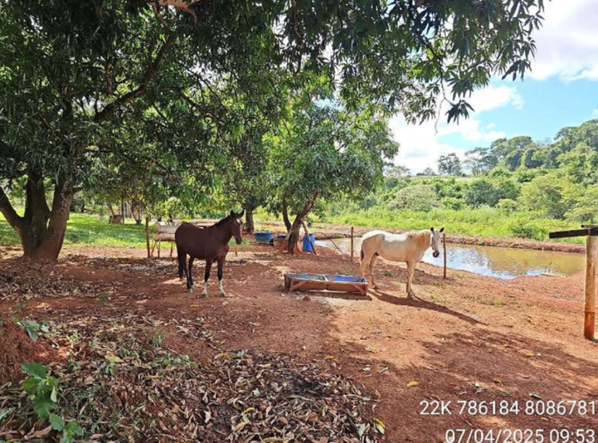 Gleba (foto 19 de 20)