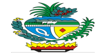 Leilões