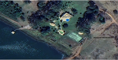 Leilões