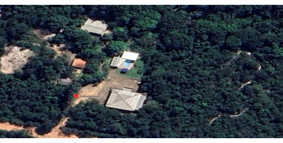 Leilões