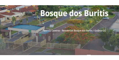 Leilões
