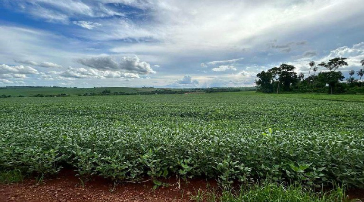 Imagem do imóvel Parte ideal de 3.039,61 m² da área 55.265,69 m² do Lote Rural 05/A do 19º Perímetro da Fazenda Britânia