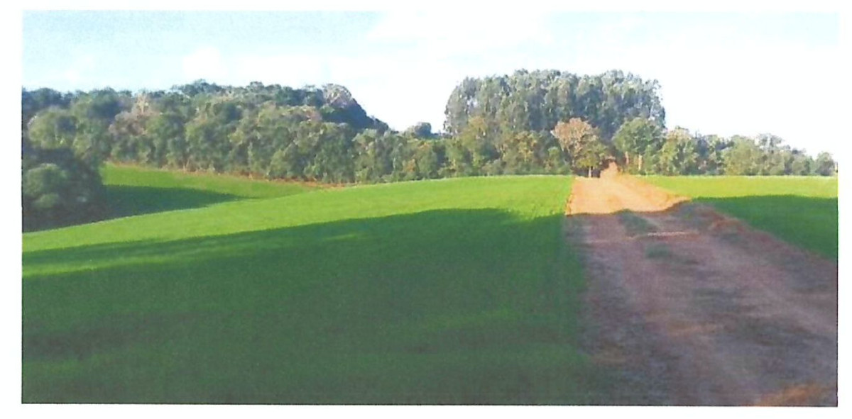 Lote 1 - lote rural