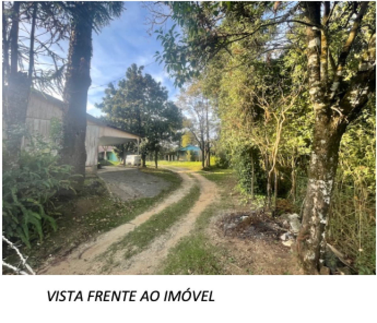 Gleba (foto 9 de 10)