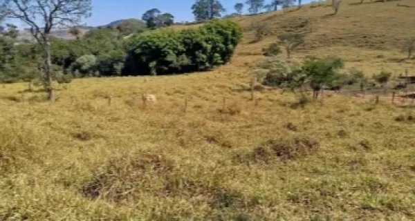 Imóvel rural em leilão em Rio Pomba