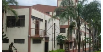 Leilões