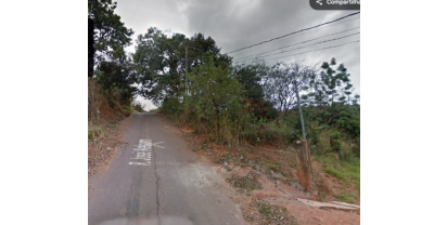 Leilões