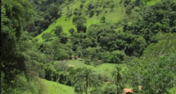 Imóvel rural em leilão em Rio Pomba