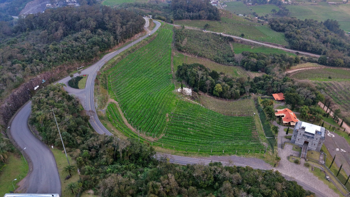 Lote 1 - IMÓVEL RURAL COM ÁREA DE 103.975M² LOCALIZADO EM MONTE BELO DO SUL, localizado em Monte Belo Do Sul - RS
