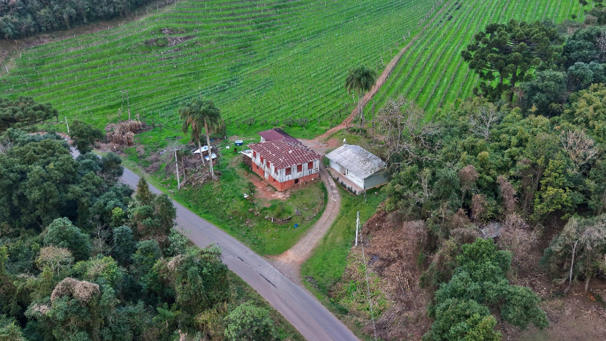 Lote 1 - IMÓVEL RURAL COM ÁREA DE 103.975M² LOCALIZADO EM MONTE BELO DO SUL, localizado em Monte Belo Do Sul - RS