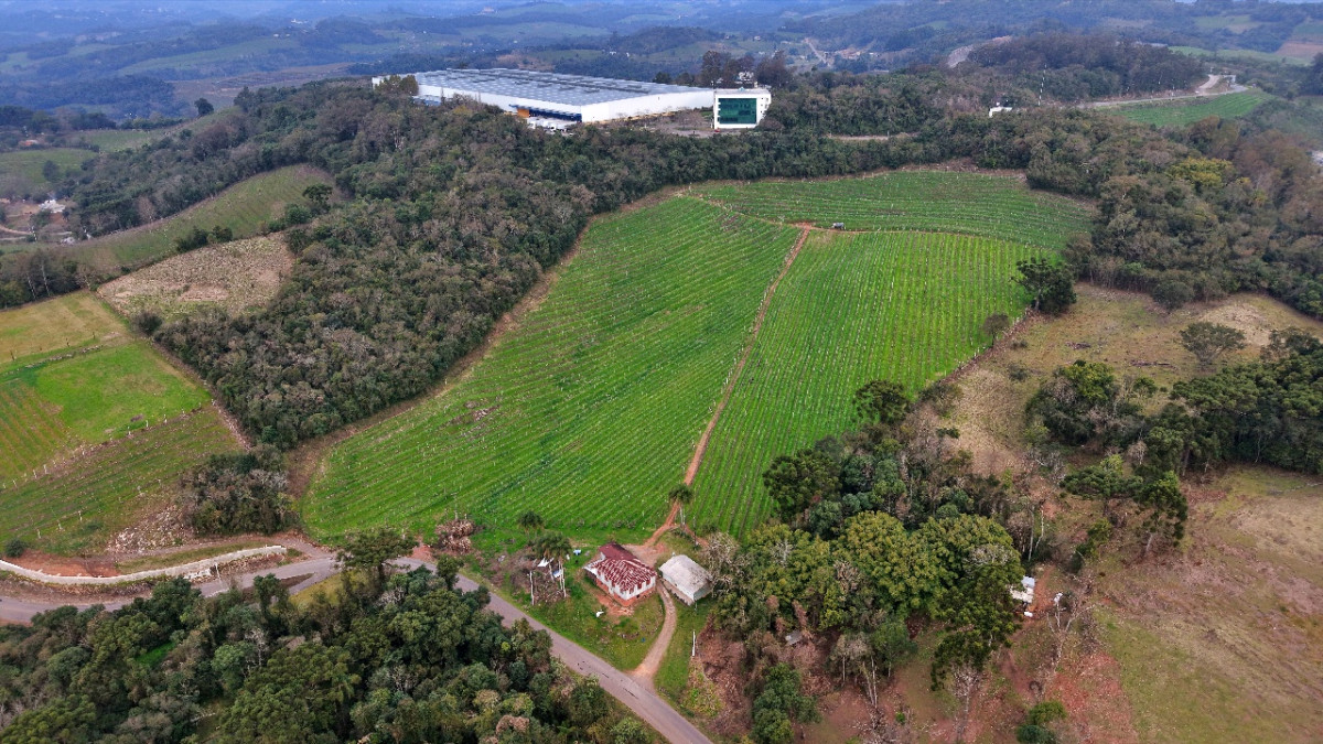 Lote 1 - IMÓVEL RURAL COM ÁREA DE 103.975M² LOCALIZADO EM MONTE BELO DO SUL, localizado em Monte Belo Do Sul - RS