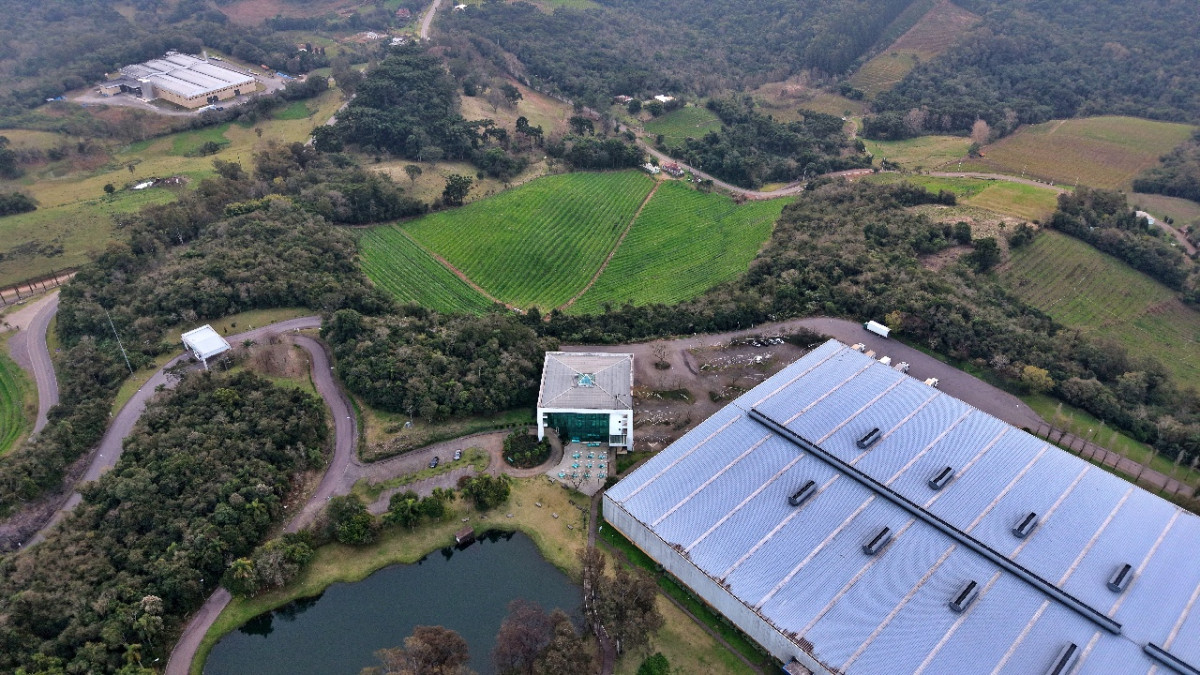 Lote 1 - IMÓVEL RURAL COM ÁREA DE 103.975M² LOCALIZADO EM MONTE BELO DO SUL, localizado em Monte Belo Do Sul - RS
