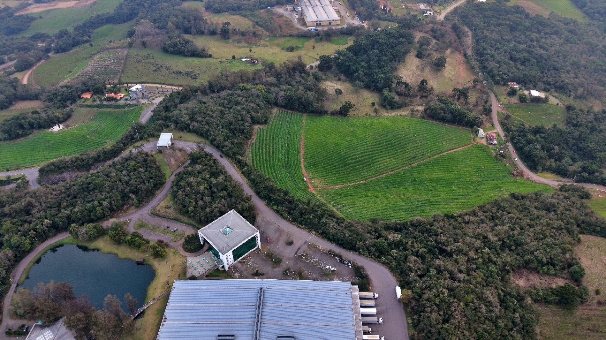 Lote 1 - IMÓVEL RURAL COM ÁREA DE 103.975M² LOCALIZADO EM MONTE BELO DO SUL, localizado em Monte Belo Do Sul - RS