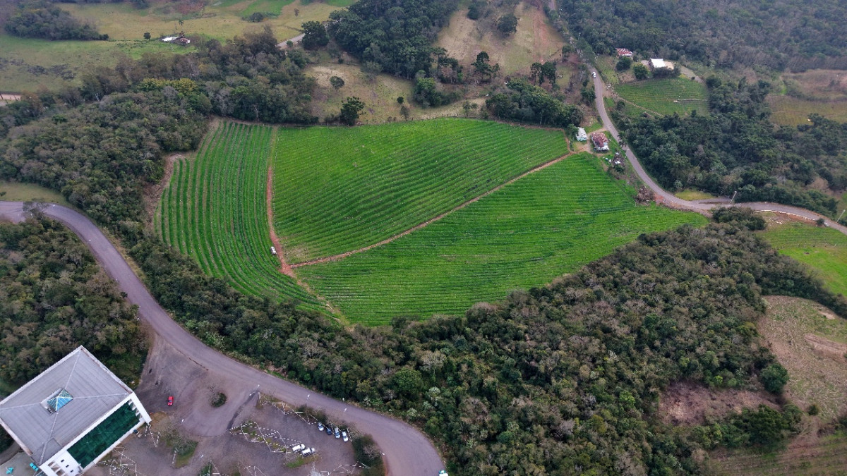Lote 1 - IMÓVEL RURAL COM ÁREA DE 103.975M² LOCALIZADO EM MONTE BELO DO SUL, localizado em Monte Belo Do Sul - RS