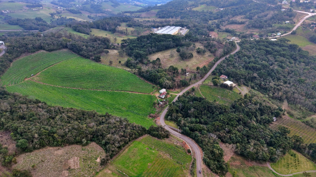 Lote 1 - IMÓVEL RURAL COM ÁREA DE 103.975M² LOCALIZADO EM MONTE BELO DO SUL, localizado em Monte Belo Do Sul - RS