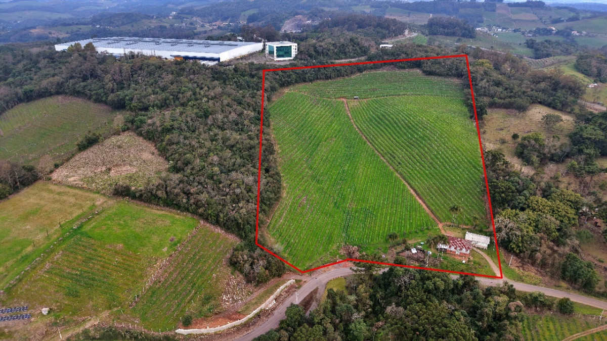 Lote 1 - IMÓVEL RURAL COM ÁREA DE 103.975M² LOCALIZADO EM MONTE BELO DO SUL, localizado em Monte Belo Do Sul - RS