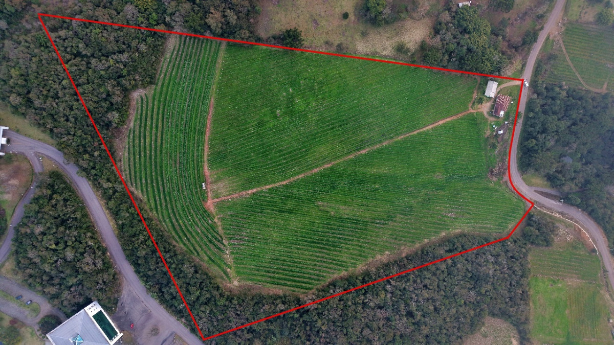 Lote 1 - IMÓVEL RURAL COM ÁREA DE 103.975M² LOCALIZADO EM MONTE BELO DO SUL, localizado em Monte Belo Do Sul - RS