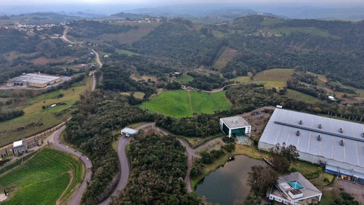 Lote 1 - IMÓVEL RURAL COM ÁREA DE 103.975M² LOCALIZADO EM MONTE BELO DO SUL, localizado em Monte Belo Do Sul - RS