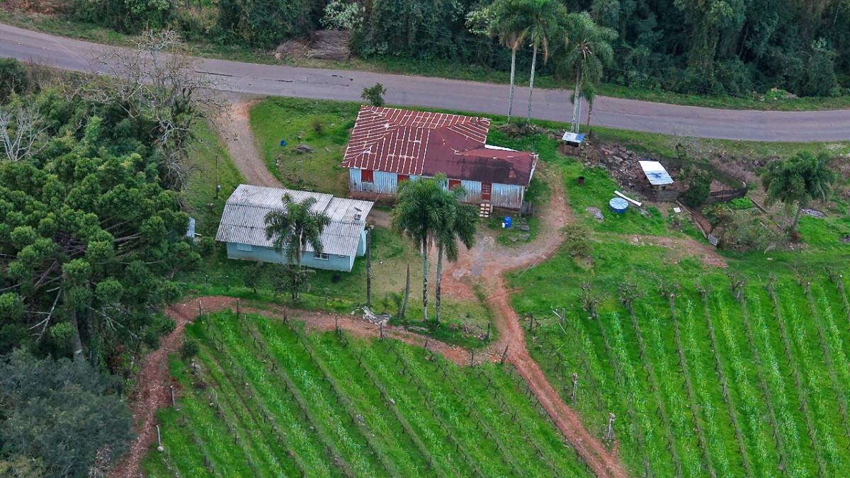 Lote 1 - IMÓVEL RURAL COM ÁREA DE 103.975M² LOCALIZADO EM MONTE BELO DO SUL, localizado em Monte Belo Do Sul - RS