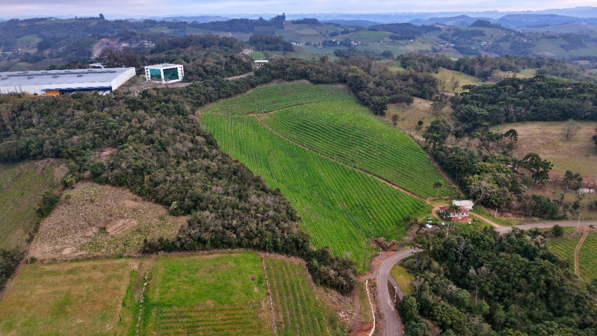 Lote 1 - IMÓVEL RURAL COM ÁREA DE 103.975M² LOCALIZADO EM MONTE BELO DO SUL, localizado em Monte Belo Do Sul - RS
