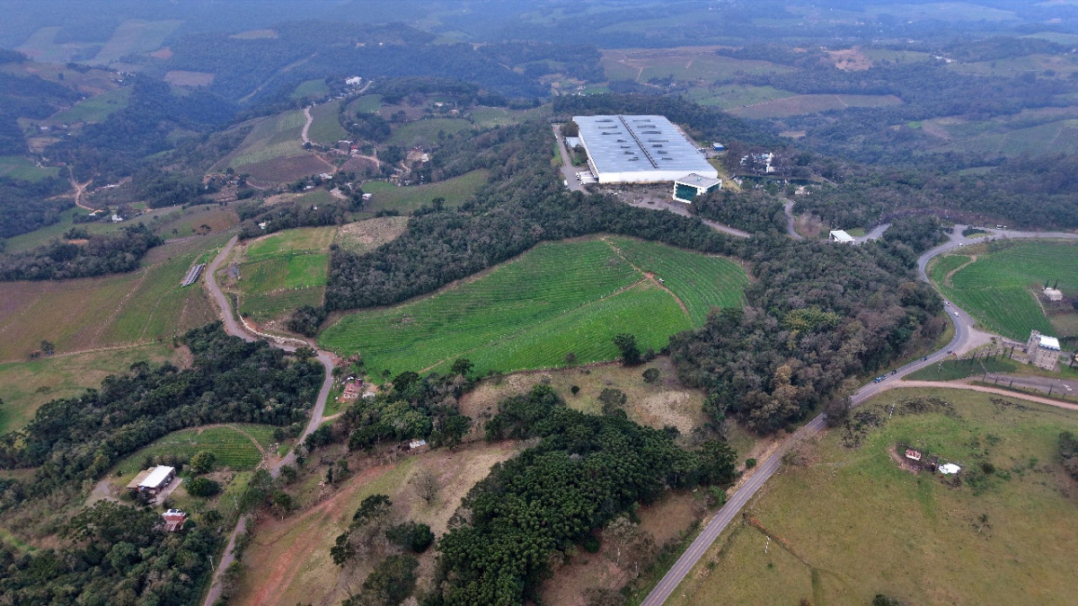 Lote 1 - IMÓVEL RURAL COM ÁREA DE 103.975M² LOCALIZADO EM MONTE BELO DO SUL, localizado em Monte Belo Do Sul - RS