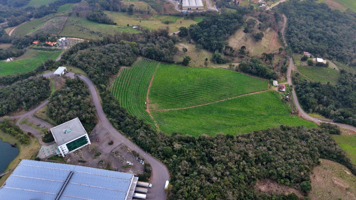 Lote 1 - IMÓVEL RURAL COM ÁREA DE 103.975M² LOCALIZADO EM MONTE BELO DO SUL, localizado em Monte Belo Do Sul - RS