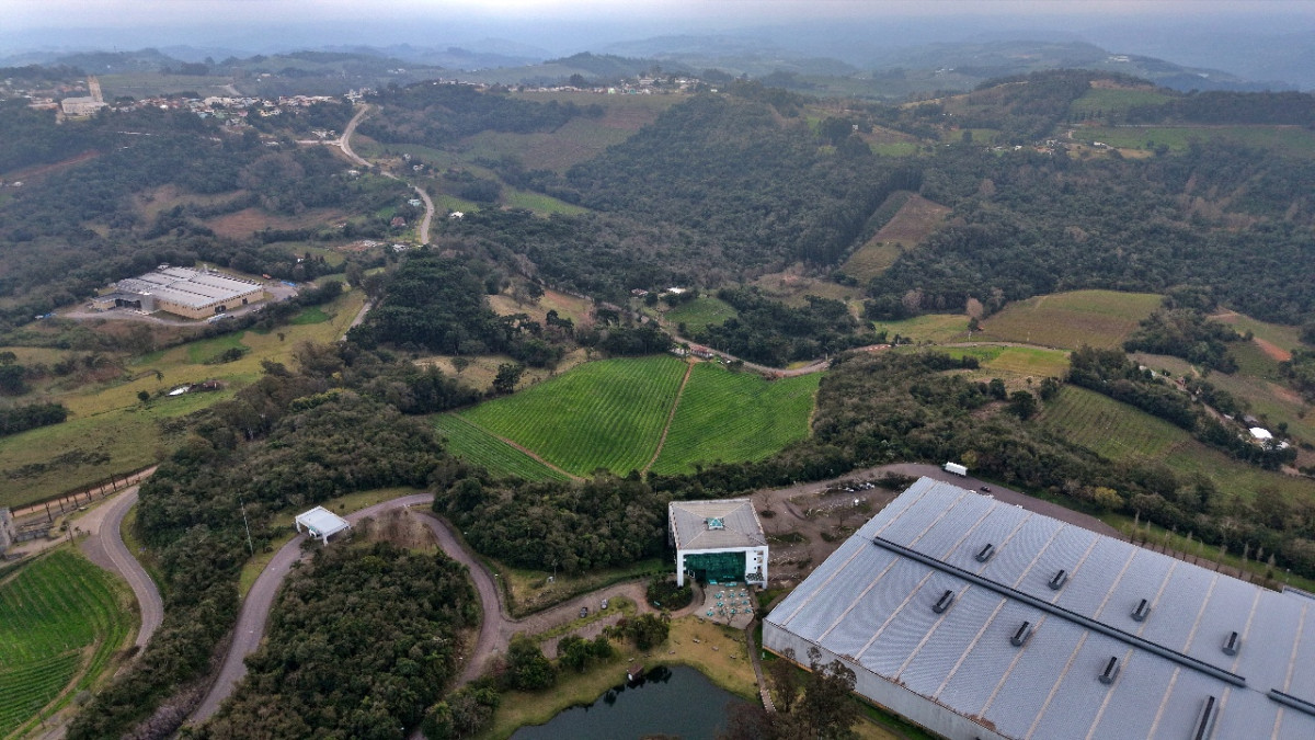 Lote 1 - IMÓVEL RURAL COM ÁREA DE 103.975M² LOCALIZADO EM MONTE BELO DO SUL, localizado em Monte Belo Do Sul - RS