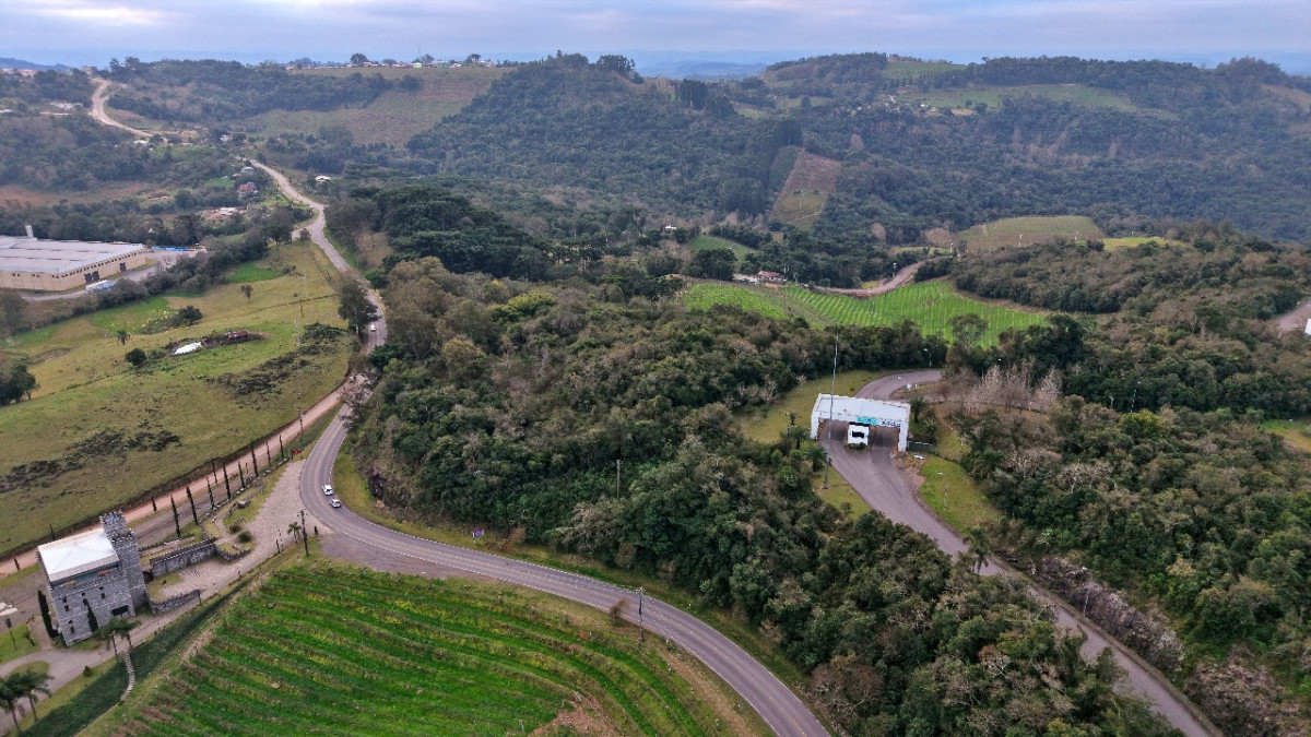 Lote 1 - IMÓVEL RURAL COM ÁREA DE 103.975M² LOCALIZADO EM MONTE BELO DO SUL, localizado em Monte Belo Do Sul - RS