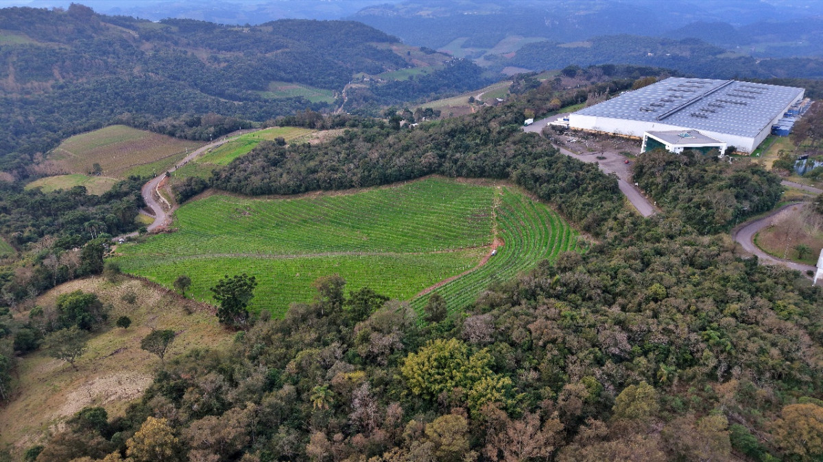 Lote 1 - IMÓVEL RURAL COM ÁREA DE 103.975M² LOCALIZADO EM MONTE BELO DO SUL, localizado em Monte Belo Do Sul - RS
