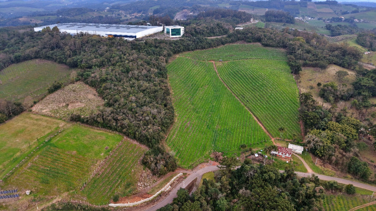 Lote 1 - IMÓVEL RURAL COM ÁREA DE 103.975M² LOCALIZADO EM MONTE BELO DO SUL, localizado em Monte Belo Do Sul - RS