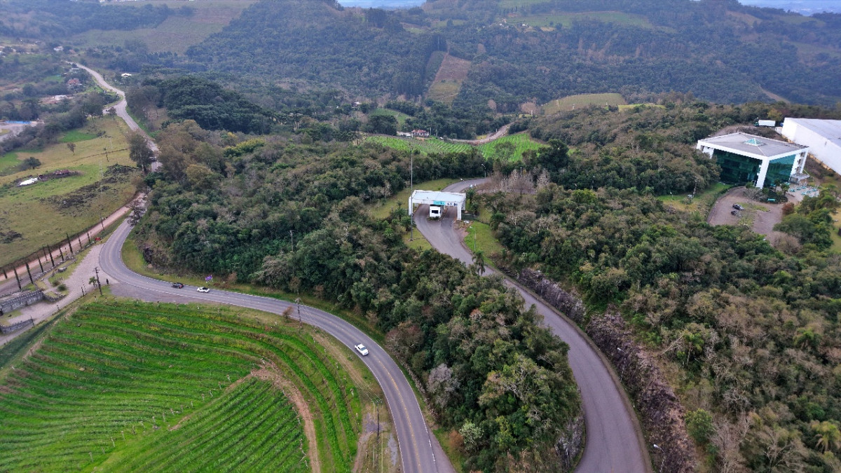 Lote 1 - IMÓVEL RURAL COM ÁREA DE 103.975M² LOCALIZADO EM MONTE BELO DO SUL, localizado em Monte Belo Do Sul - RS