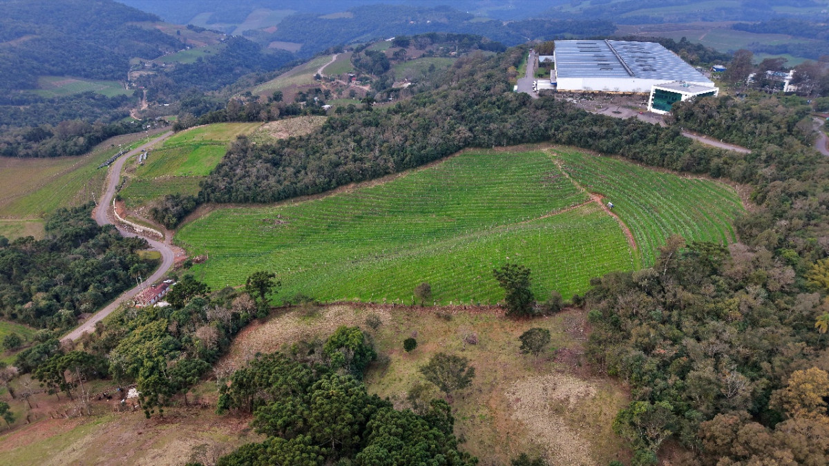 Lote 1 - IMÓVEL RURAL COM ÁREA DE 103.975M² LOCALIZADO EM MONTE BELO DO SUL, localizado em Monte Belo Do Sul - RS