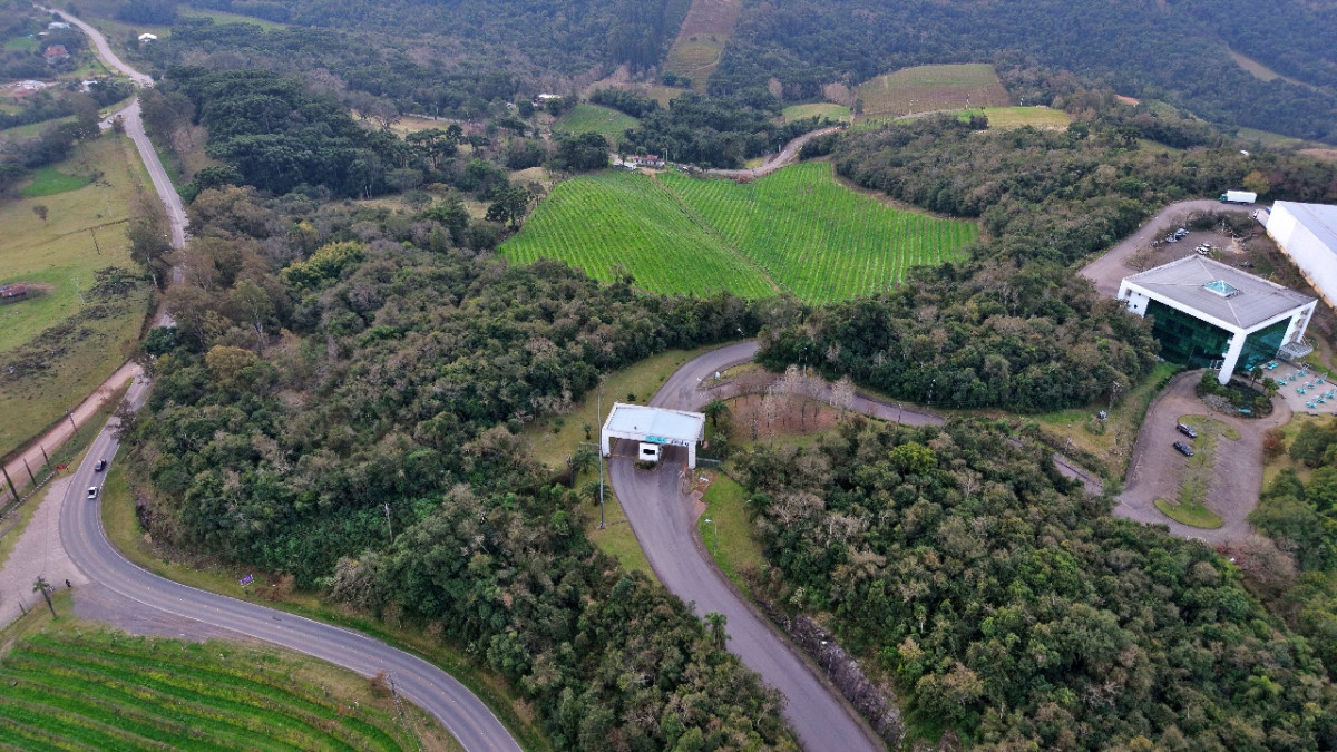Lote 1 - IMÓVEL RURAL COM ÁREA DE 103.975M² LOCALIZADO EM MONTE BELO DO SUL, localizado em Monte Belo Do Sul - RS